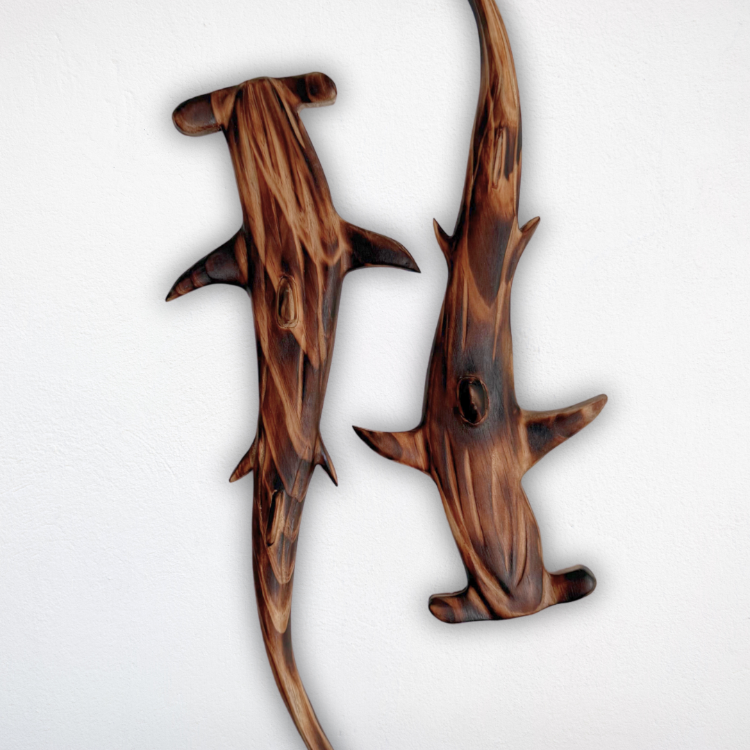 Hammerhead Sharks