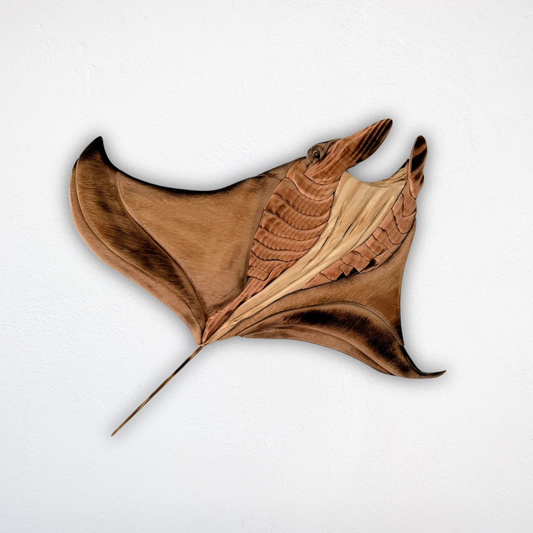 Manta Ray
