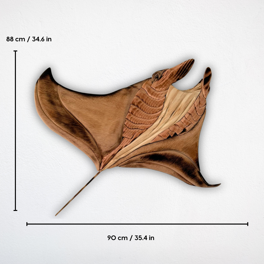 Manta Ray
