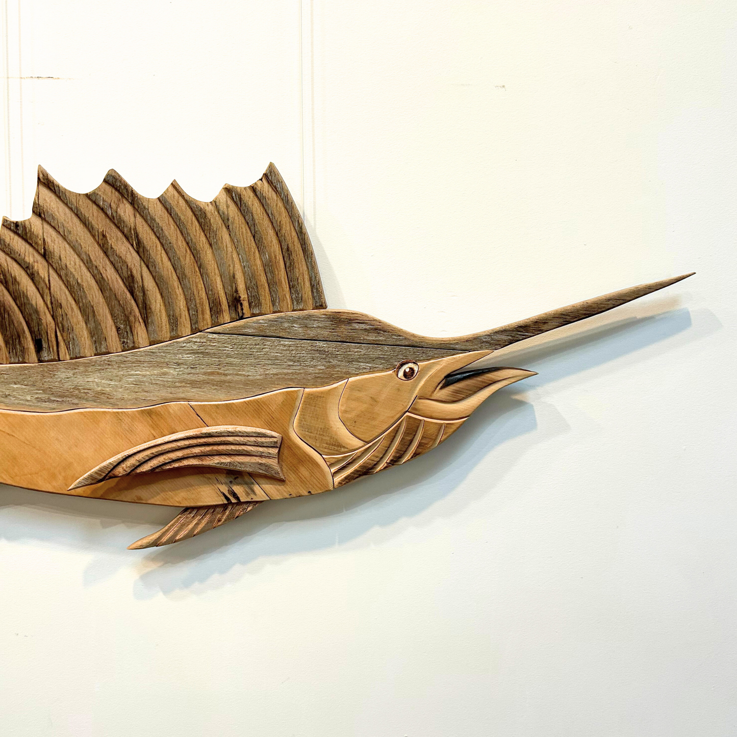 Sailfish