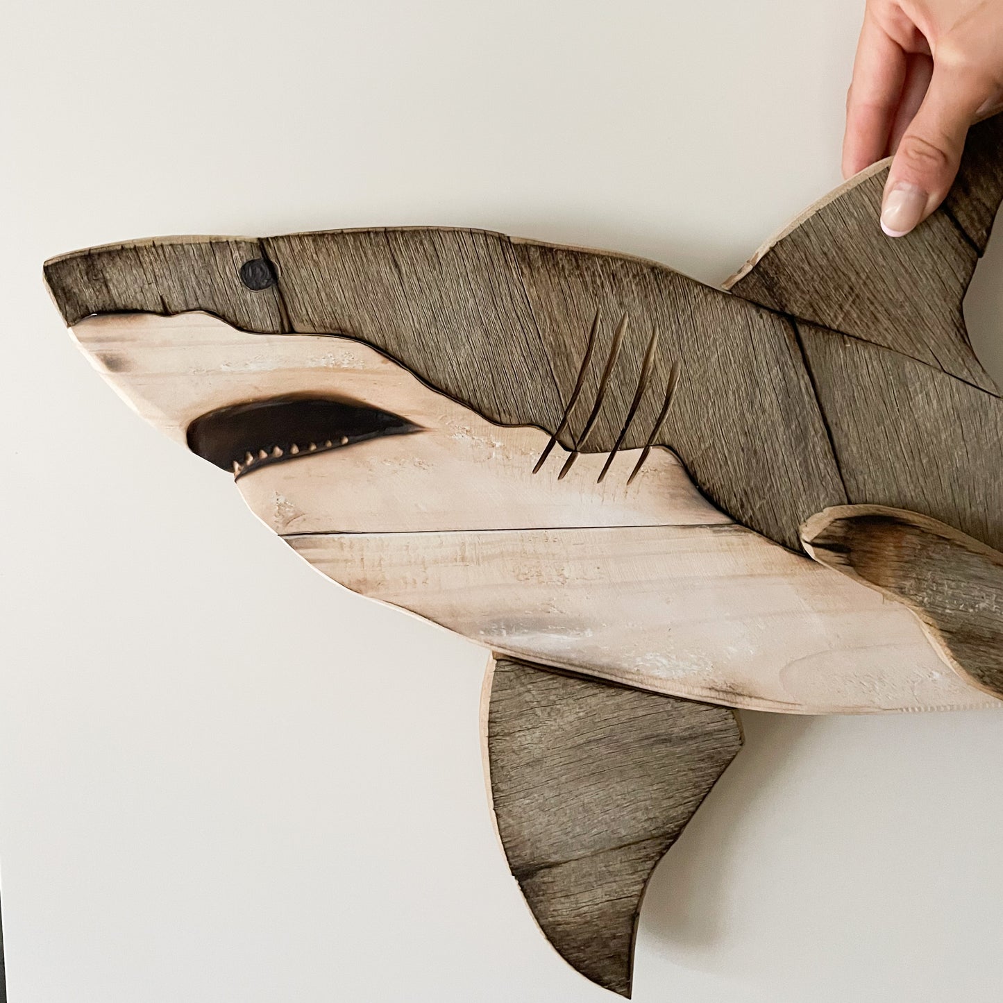 White Shark