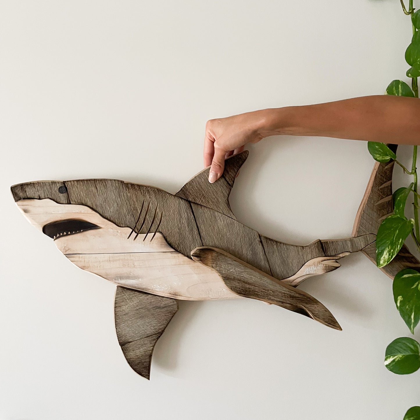 White Shark