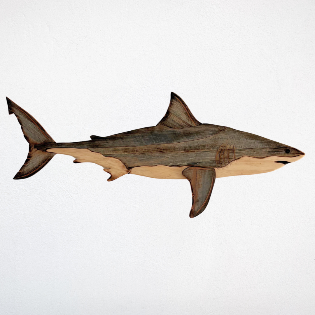 1.5m Great White Shark