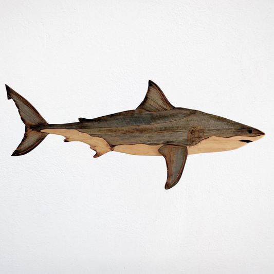 1.5m Great White Shark