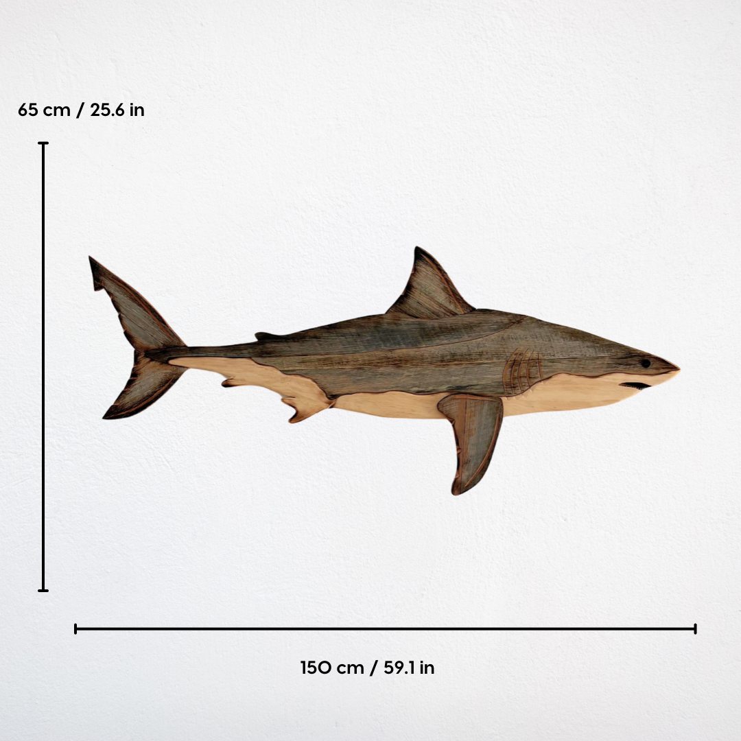 1.5m Great White Shark