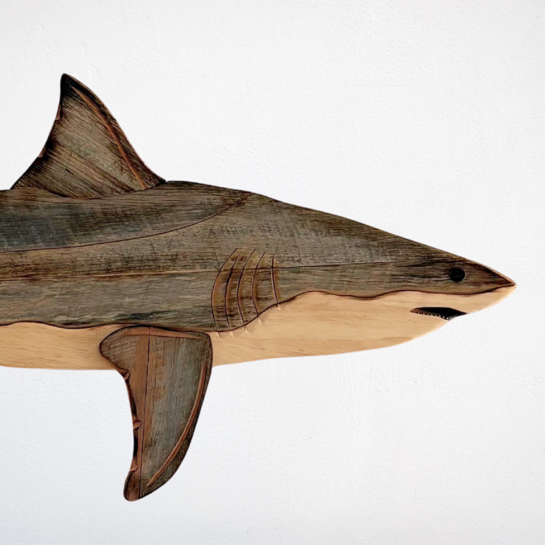 1.5m Great White Shark