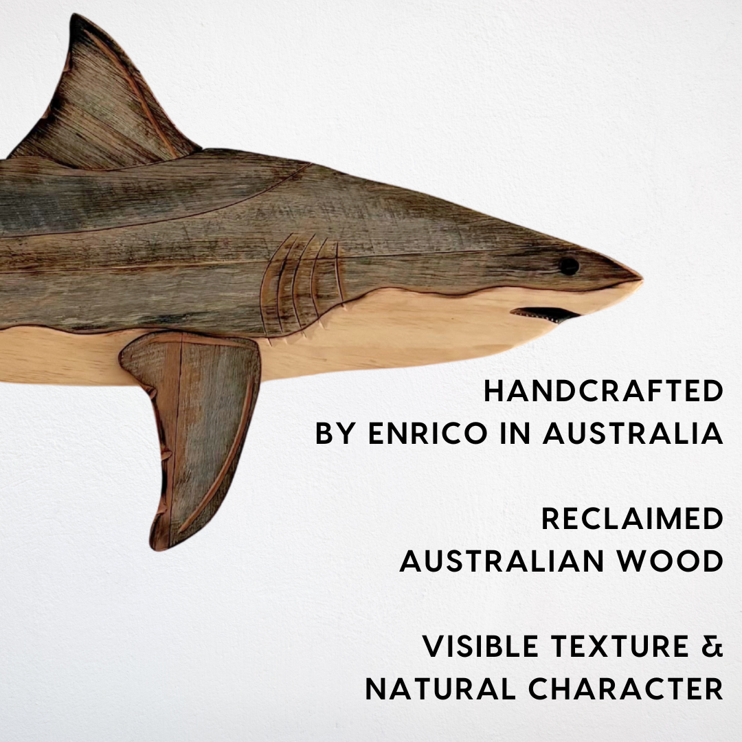 1.5m Great White Shark