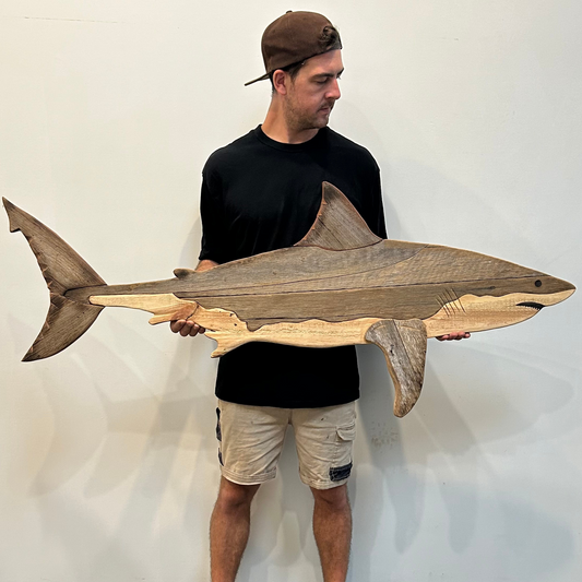 1.5m Great White Shark